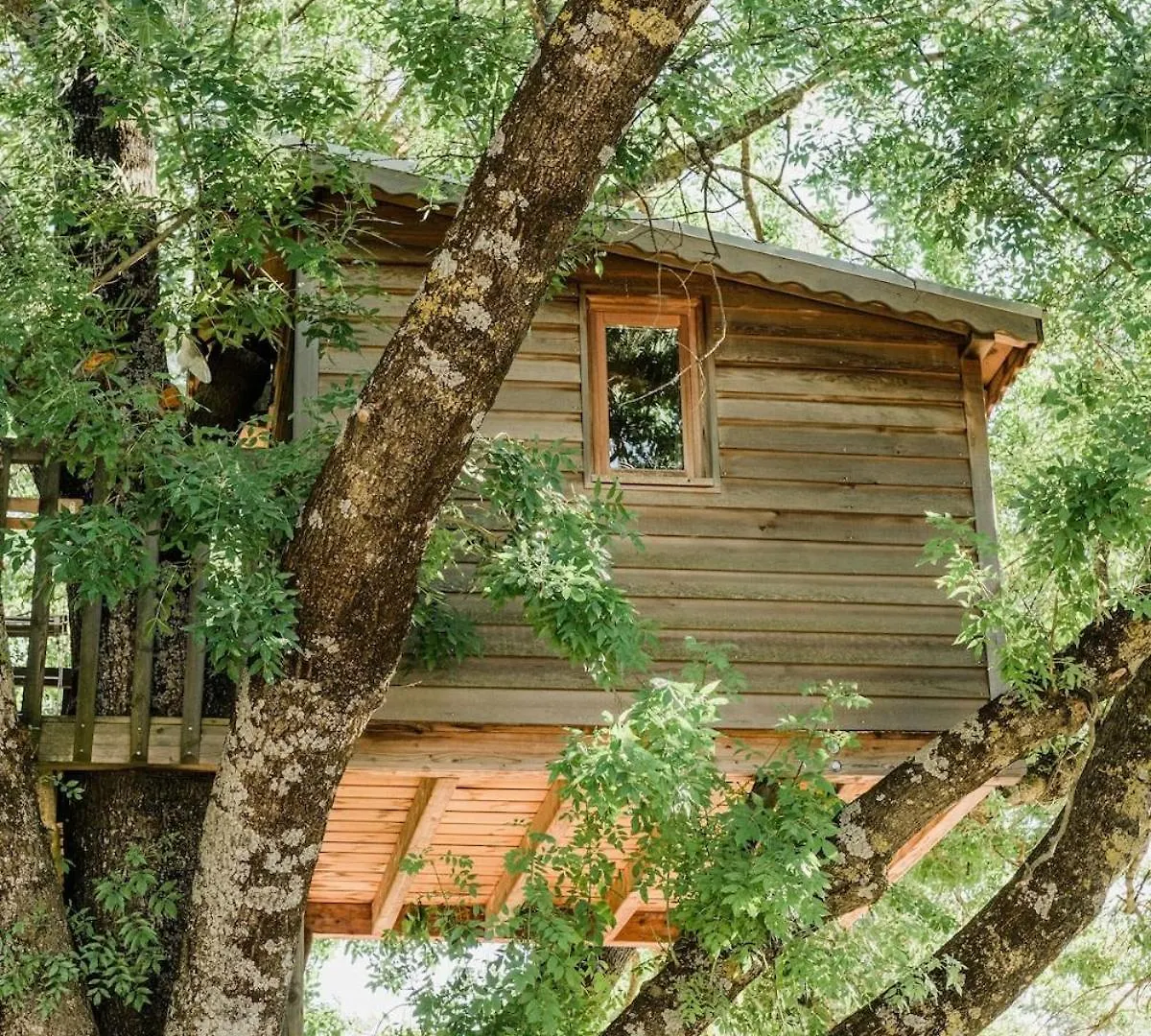 Cabane Perchee Avec Jacuzzi, Au Coeur Du Luberon Oppede